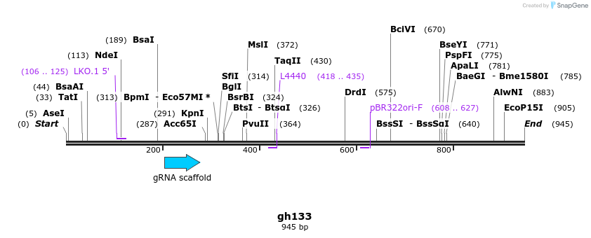 221302_map