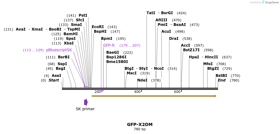 221310_map