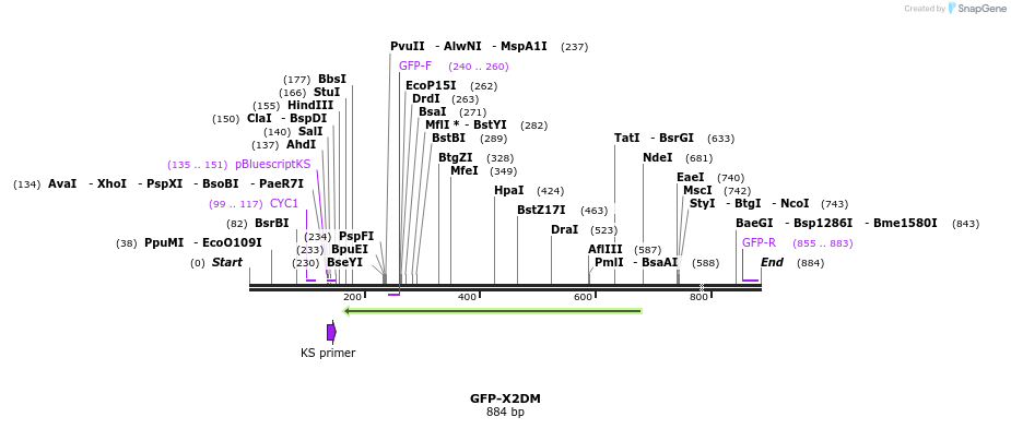 221312_map