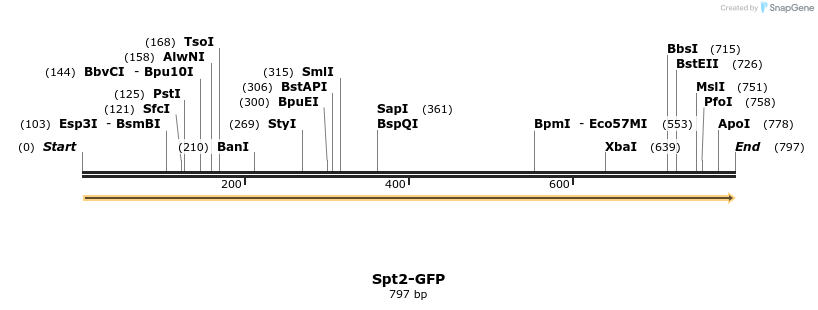 221316_map