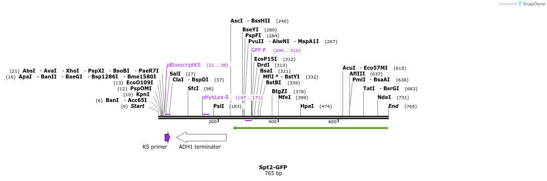 221319_map