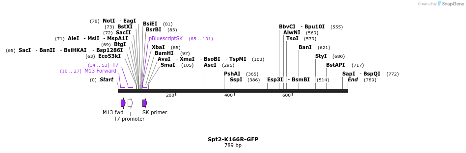 221323_map