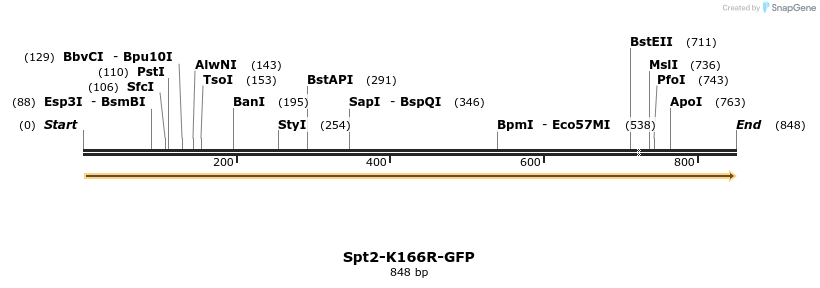 221324_map