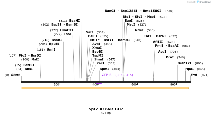 221325_map