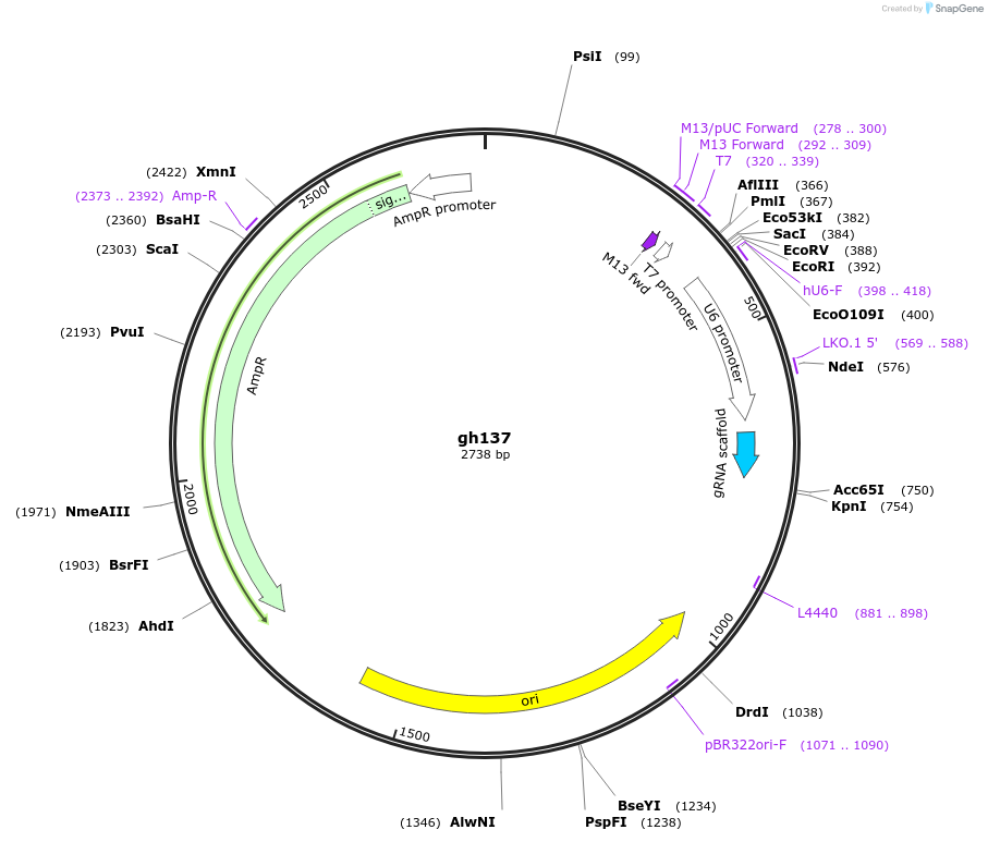 221331_map