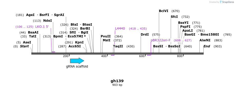 221336_map