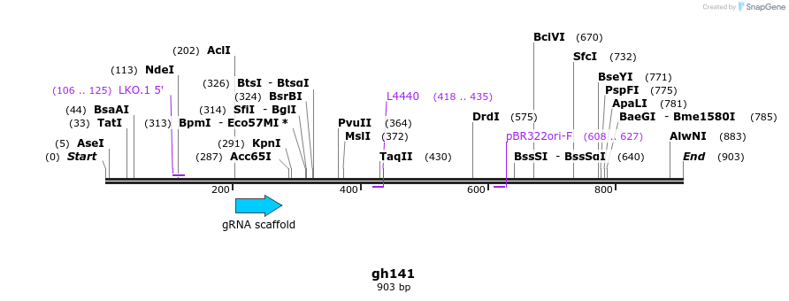 221339_map