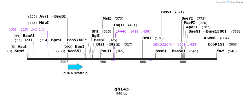 221345_map