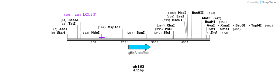 221350_map