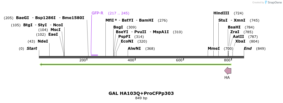 22136_map