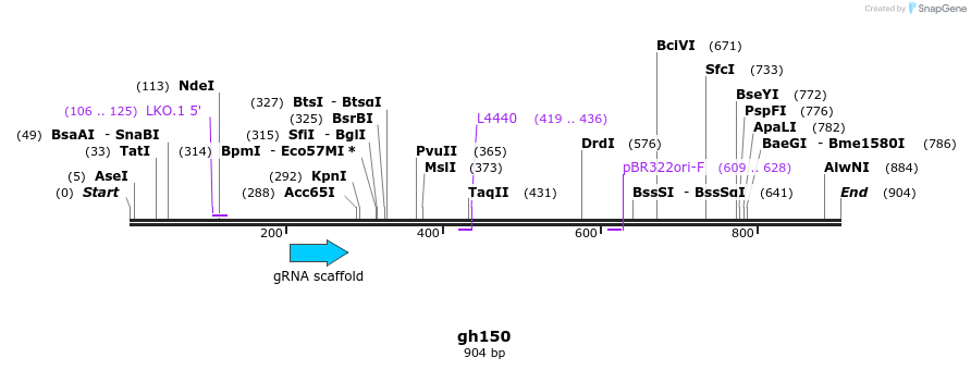 221362_map