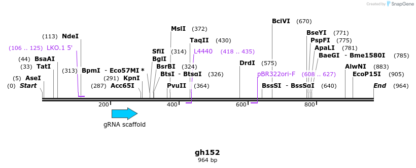 221367_map