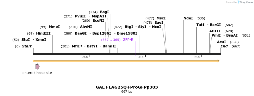 22137_map