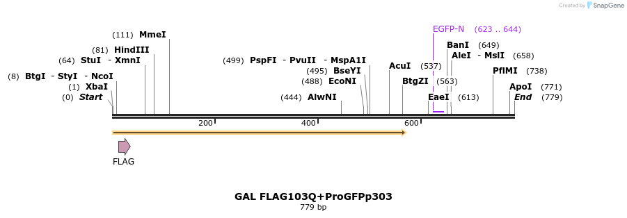 22138_map