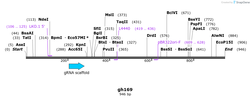 221380_map