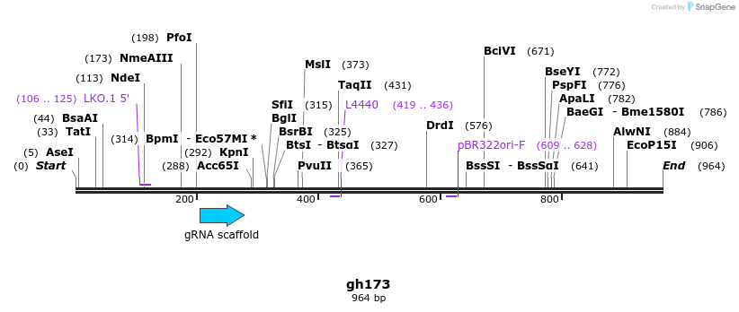 221386_map