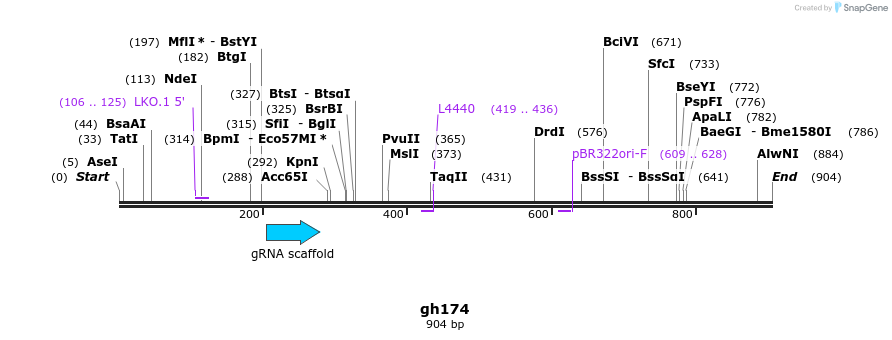 221391_map
