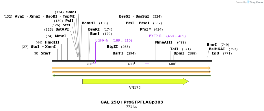 22140_map