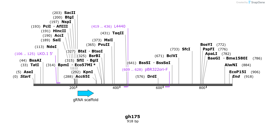 221404_map