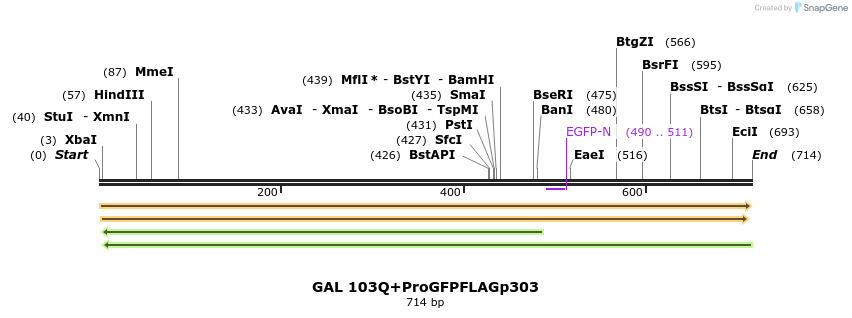 22141_map
