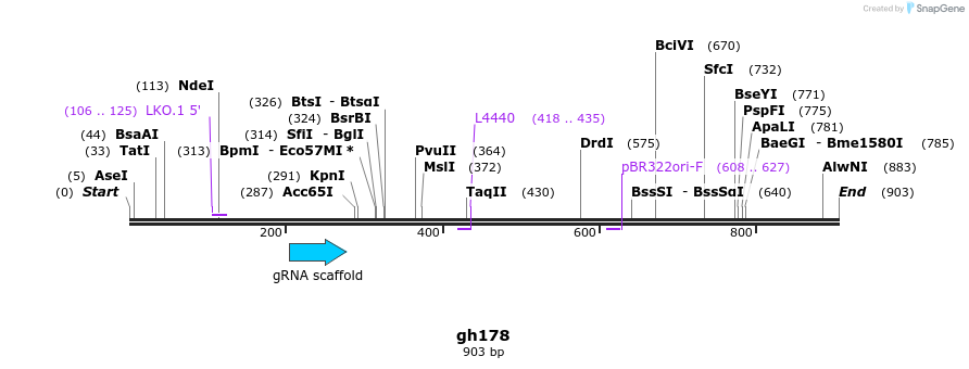 221414_map