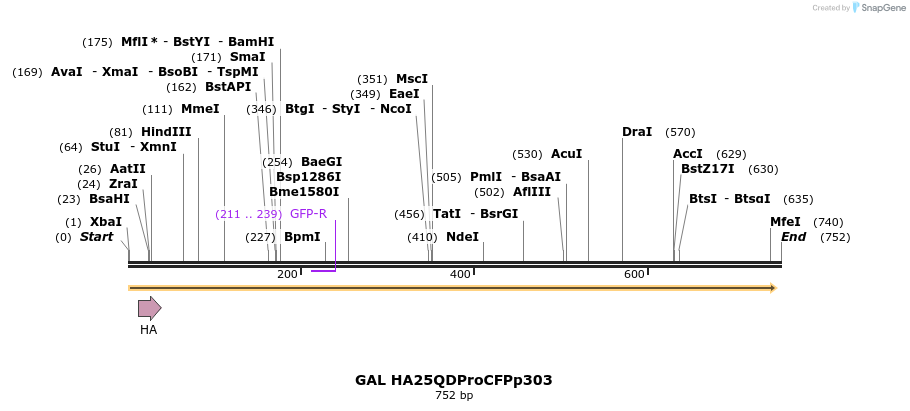 22142_map