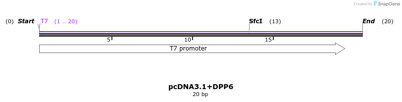 221426_map