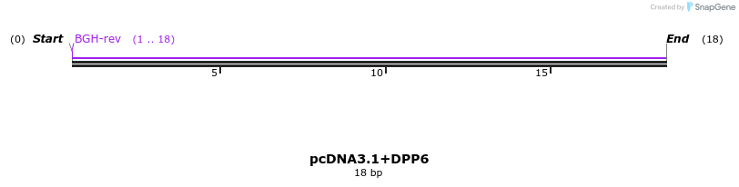 221427_map