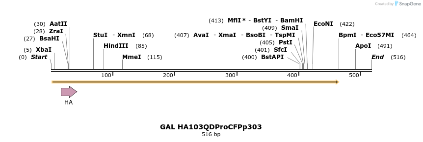 22143_map