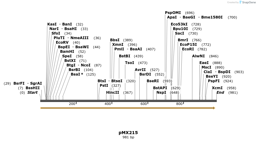 221432_map