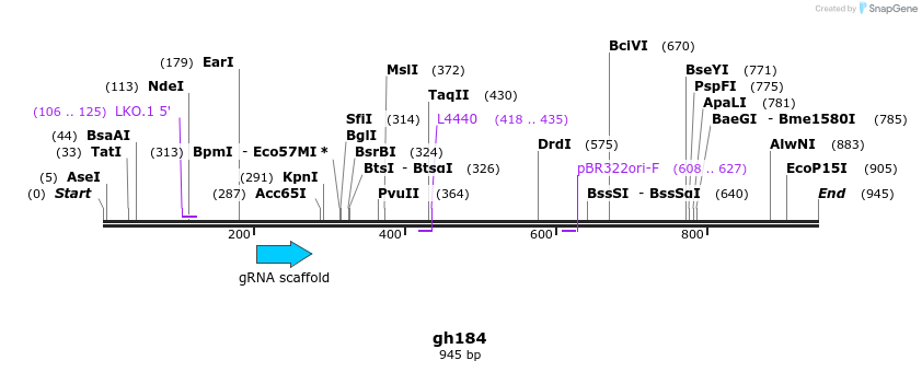 221435_map