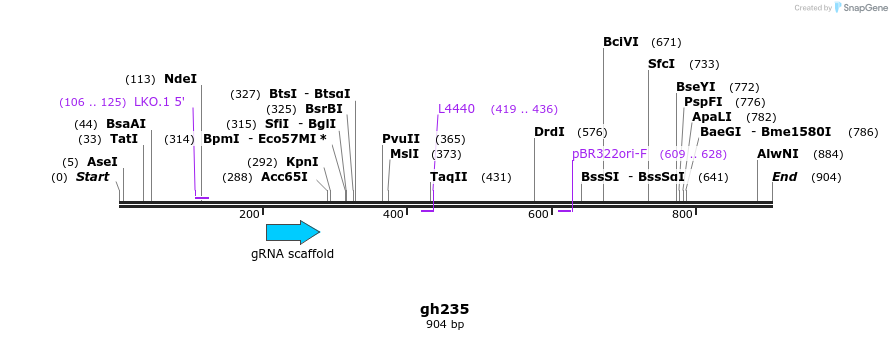 221442_map