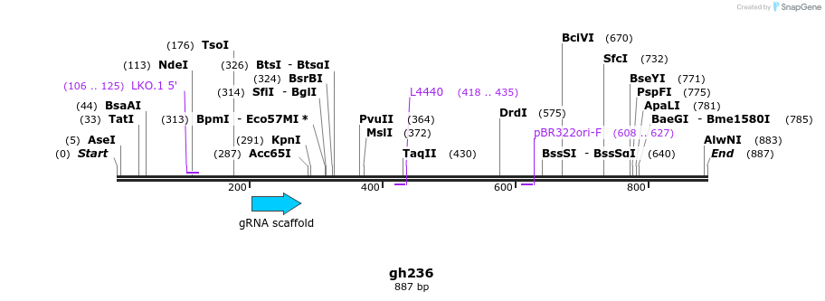 221445_map