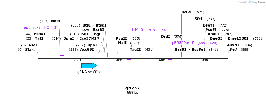 221447_map