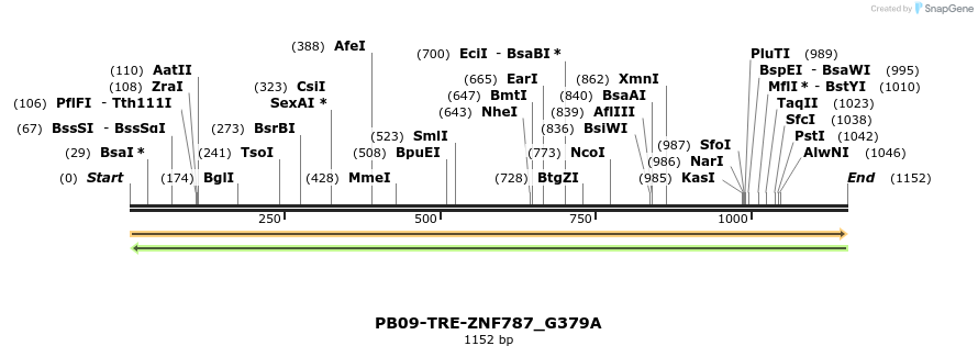 221456_map