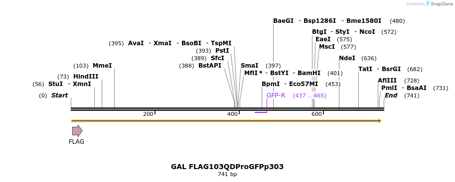 22151_map
