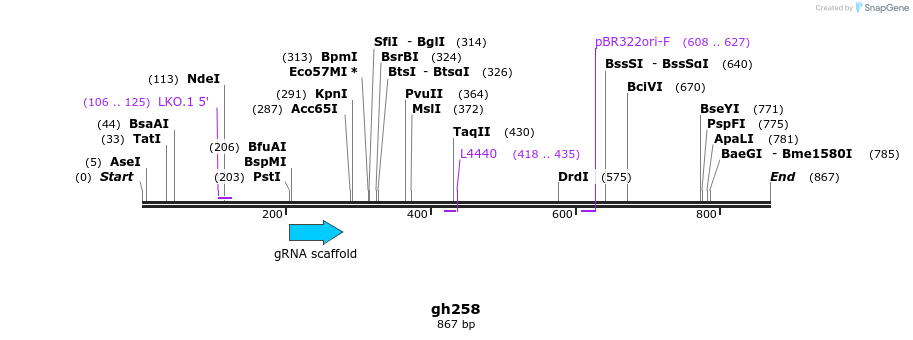 221515_map
