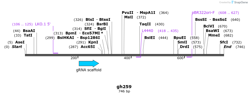 221518_map