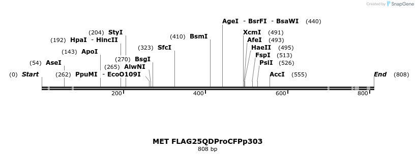 22153_map