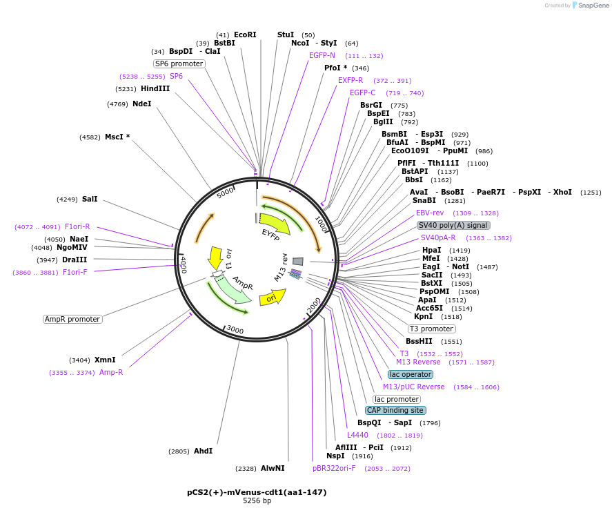 221542_map