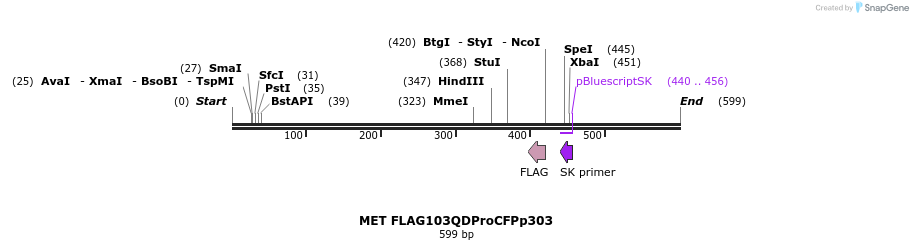22155_map