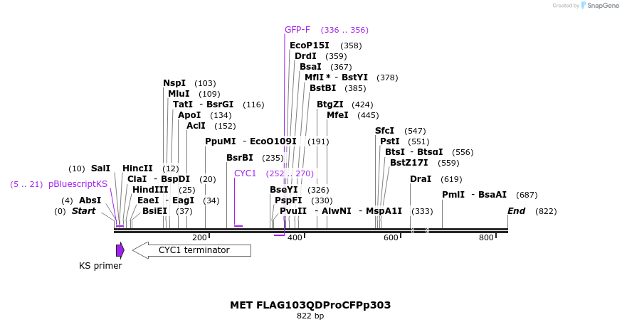 22156_map