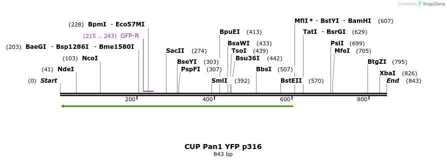 22157_map
