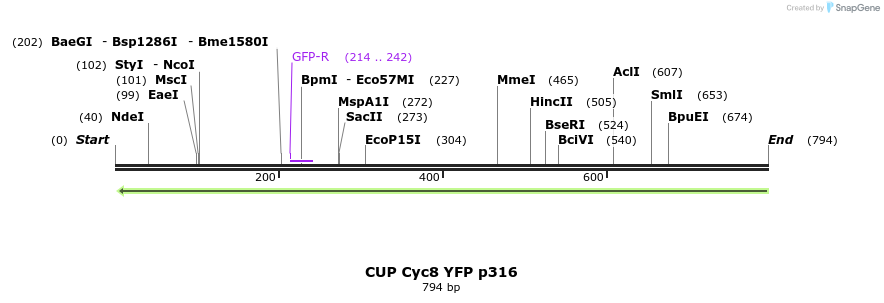 22158_map