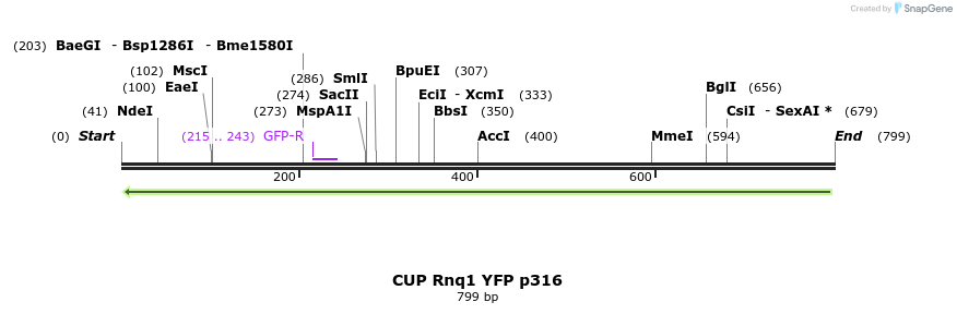 22159_map