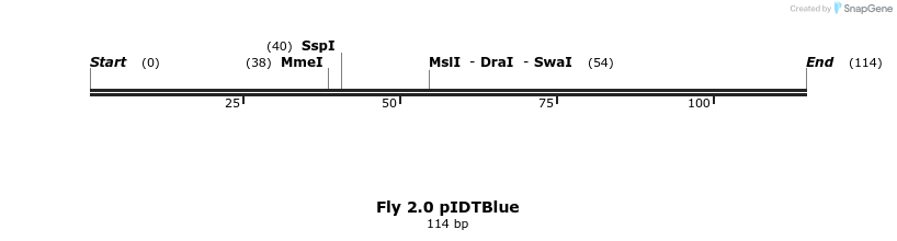 221619_map