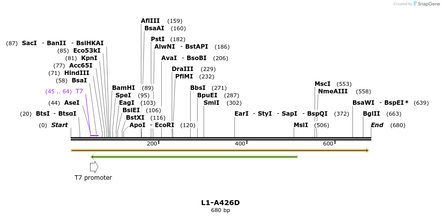 22162_map