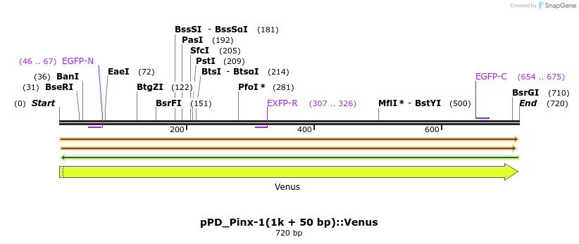 221639_map