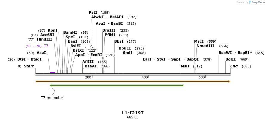 22164_map