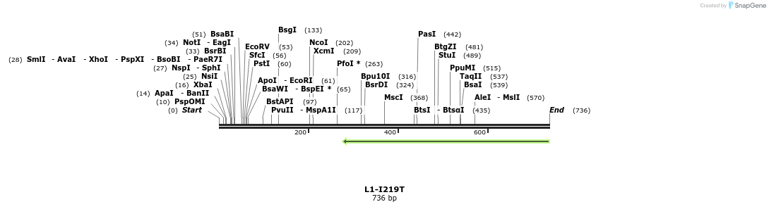 22165_map